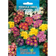 EUROSEMENTES FLORES PRIMULA VERIS